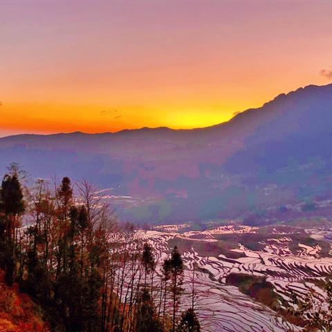 七彩云南，旅游云南红河哈尼元阳梯田