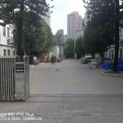 新生股份公司(12月14日)开展企业安全生产巡查工作情况