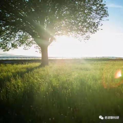 淮河东路小学三年级语文组“基于课堂教学 磨课研讨提升”掠影