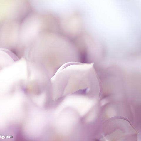 学习《不输在家庭教育上》灵武市第四小学三年级一班