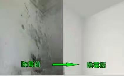 白云区金沙洲除霉公司房子墙壁天花发霉怎样去除霉斑上门消毒公司