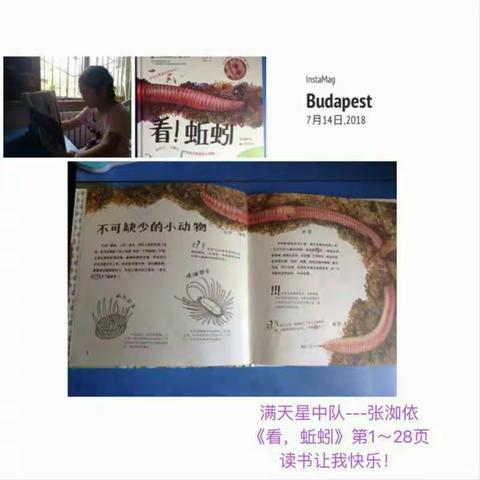 读书破万卷，下笔如有神。_满天星中队