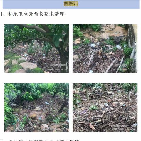 南新居关于2021-9-23人居环境整治通报问题的整改汇报