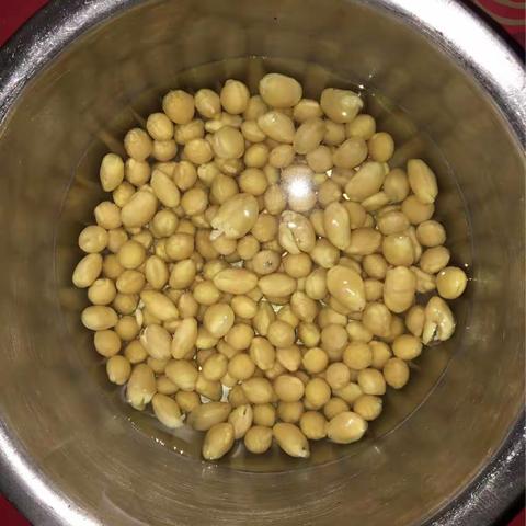 霄阳的第一次家庭实验--水培豆芽