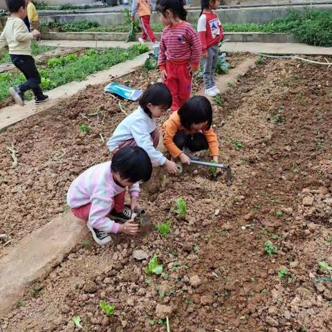 “快乐植树节，小手添新绿”——隆安县那桐镇中心幼儿园植树节主题活动