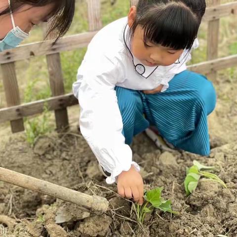 《孩子说谎并不是不诚实、品质不好》