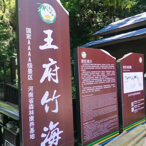 适逢端午假期，来到洛阳栾川王府竹海4A级景区，山里竹子成片，溪流瀑布一个接一个，虽说山外高温但山里温度适宜