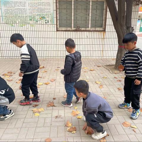 大二班 我们眼中的-秋天的树