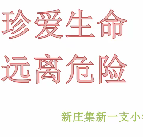 H5的美篇