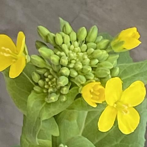 岁月无痕的美篇