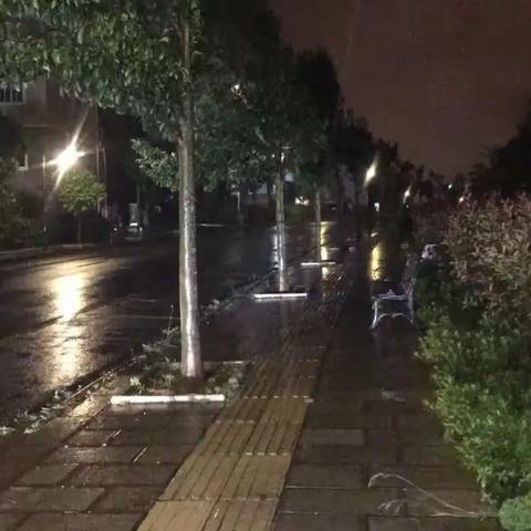 雨夜接人（五律诗一首）