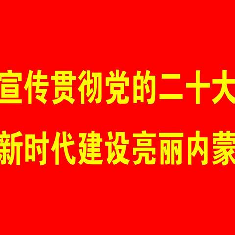 杭盖街道东风社区新时代文明实践站联合锡盟暖心协会开展防震减灾科普活动