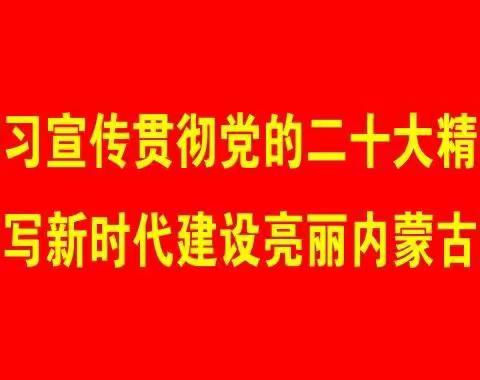 杭盖街道东风社区新时代文明实践站联合锡盟暖心协会开展中小学生心理疏导活动