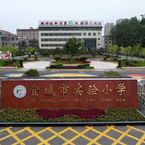 业精于勤而荒于嬉，行成于思而毁于随——记宜城市实验小学道德与法治组教学大比武