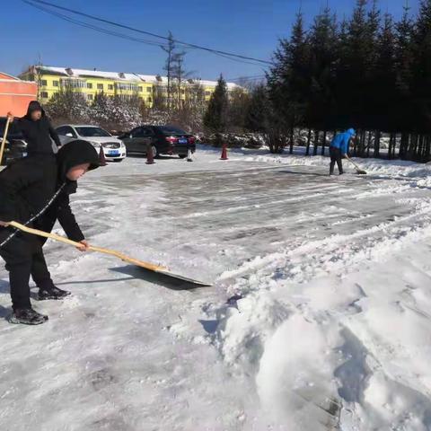 计划发展科开展清雪活动