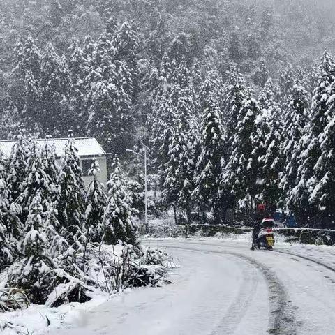 黄荆小学应对低温雨雪天气告家长书