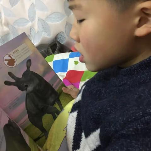 我的小寒假