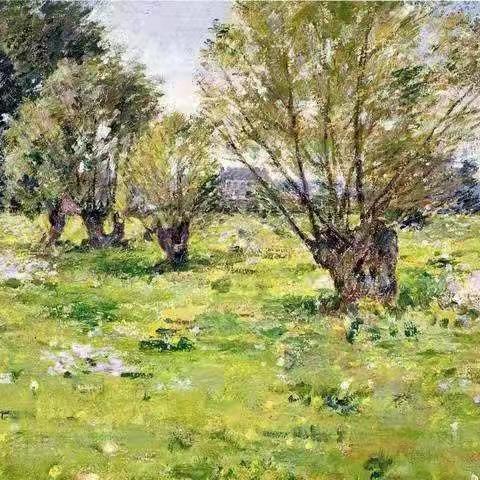 琼台师范学院美术学院美术学专业教学课业展示-2020美术学油画班《油画风景》