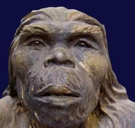 我们中国人和“北京人”没有一丁点的“血缘关系”。