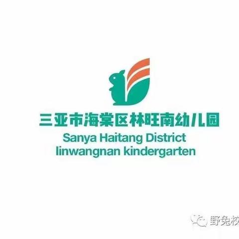 专家引领促成长 开题论证明方向——海棠区幼儿园教师小课题开题论证活动