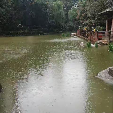 隔窗听雨敲情画思