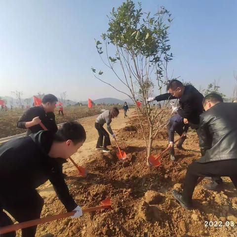 市委办公室开展义务植树志愿服务活动