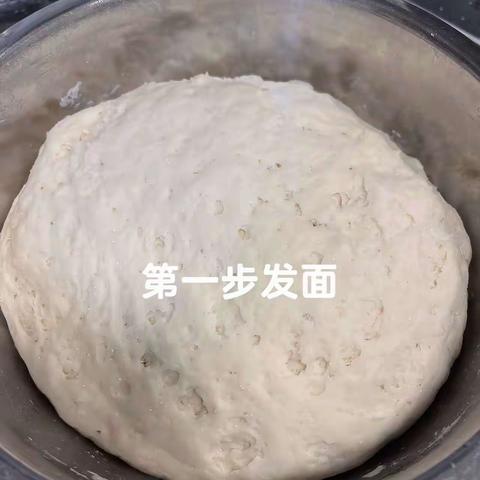 【附中学子这样完成生物作业】忻州师范学院附属外国语中学一一361班李震坤