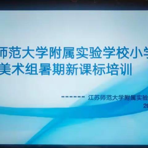 江苏师大附实校小学本部课标研学之美术组简报（一）