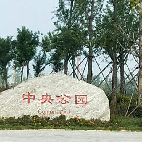 南关村小学二（五）班户外活动之我是小小清洁工