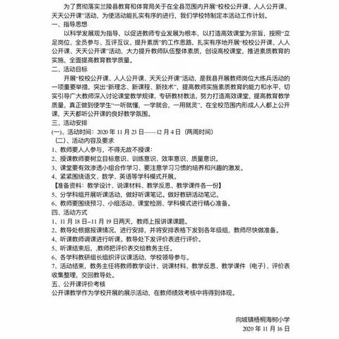 提升课堂，让教学更有效 ——梧桐海树小学进行公开课展示活动