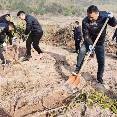 涵养水土 新增绿化——横溪镇积极开展义务植树活动