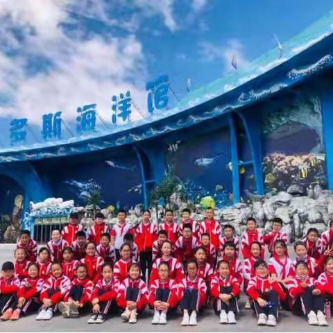“争做垃圾分类小能手”贝尔路小学北校区社会实践活动