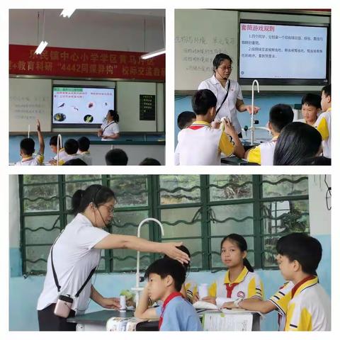 同课异构激活力 科学复习献攻略——浦北县乐民镇中心小学学区黄马片区“4442同课异构”校际教研交流活动