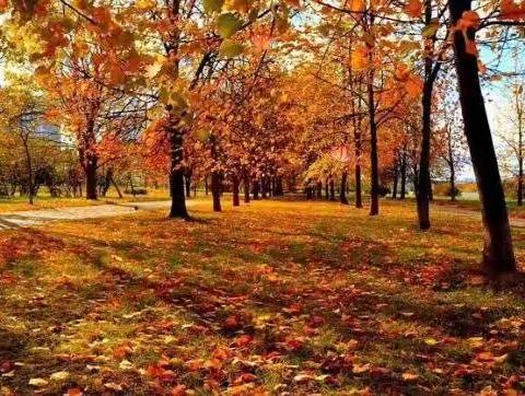 诚关物业天润苑服务中心十一月份工作简报