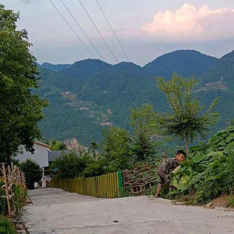 尹浩阳实践活动