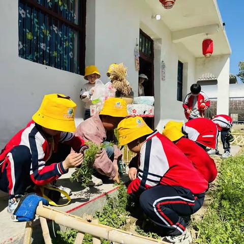 相约嫘祖 向春而行嫘祖乡村游首批小“客人”踏春一日游活动纪实