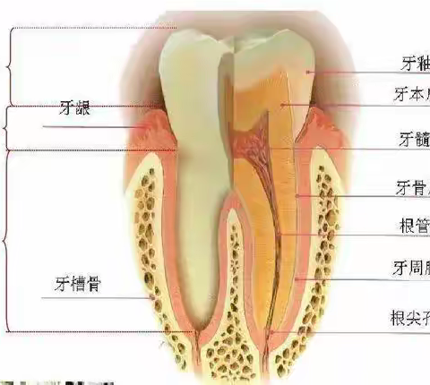 温馨的兔纸的美篇