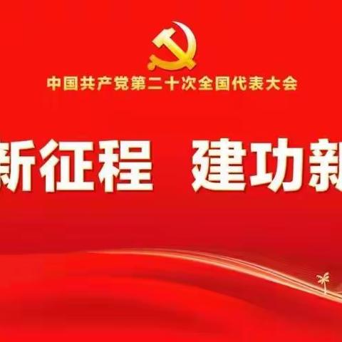 海口市新媒体协会党支部组织学习党的二十大精神