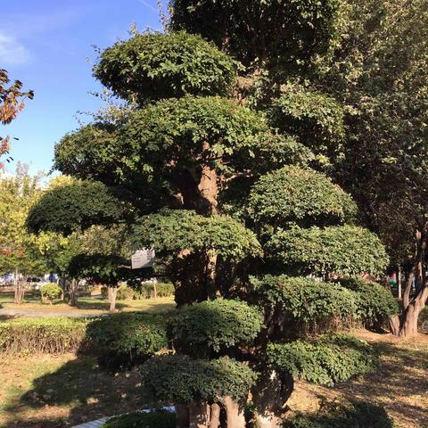 经销商备站春节旺季，一招多出20万销量