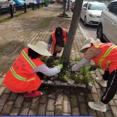 环卫工人除草忙     扮靓美丽霍山县