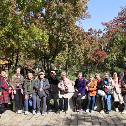 天平红枫同学情