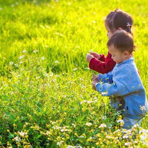 快乐满满   前“兔”似锦——望都县大十五计幼儿园开学季