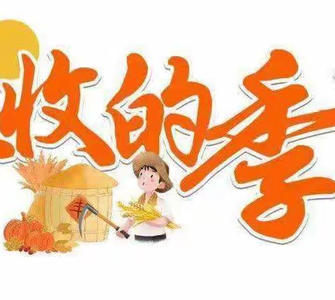 秋天丰收季   体验乐享田园——望都县大十五计幼儿园