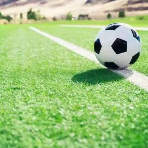 寻甸县幼儿园南城园第一届——“足够精彩”足球运动会