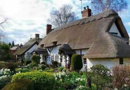 一岁一礼一怀想