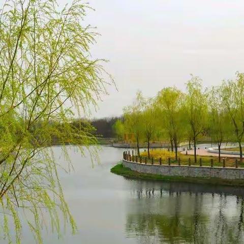 园中花渐开 希望次第来            ---东阿县实验小学御龙金湾校区第五周空中课堂学习纪实