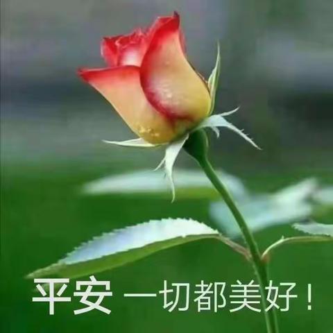 重返校园，快乐无限