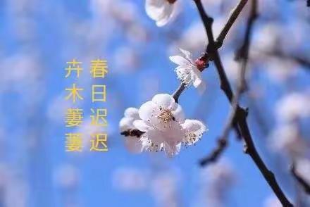 明媚春日如约至 教研之花始盛开——城关镇中心学校体音美引路课教学研讨活动纪实