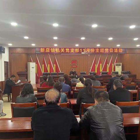 新店镇组织开展11月份主题党日活动