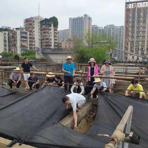 喜迎“七一”展党员风采，滤池“防晒”保优质供水